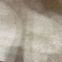 فرش|فرش|امامزاده عبدالله, |دیوار