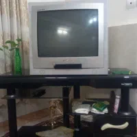 تلویزیون