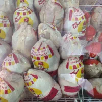 مرغ گرم فله