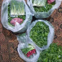 سبزی خوردن پاک شده/سبزی خوردن /قورمه سبزی /آش/کوکو