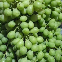 غوره ترش وآبداره