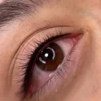 شگفتانه آرایش دائم (آخرین فرصت)خط چشم شیدینگ میکرو|خدمات آرایشگری و زیبایی|تربت جام, تیپ ۳۸ زرهی تربت جام|دیوار