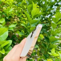 iPhone 12 Pro Max|موبایل|بوشهر, |دیوار