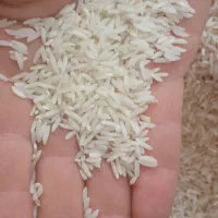 برنج هاشمی