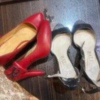 دوجفت کفش مجلسی