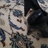 کفش زنانه|کیف، کفش، کمربند|تهران, راه آهن|دیوار