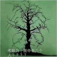 گردنبند گم شده است