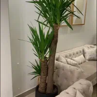 مبل استیل در حد نو|مبلمان خانگی و میز عسلی|تهران, باشگاه نفت|دیوار