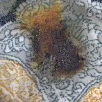 رفوکاری و رنگبرداری فرش درمحل|خدمات پیشه و مهارت|پرند, فاز ۲|دیوار