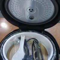 پلو پز و آرام پز زودپز برقی و ...دلمونتی