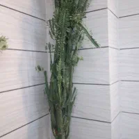 فروش گل های طبیعی فارسان همه باهم هشتصدتومان