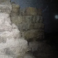 پرس گندم|عمدهفروشی|بروجرد, |دیوار