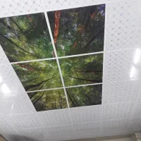 سقف کازب|خدمات پیشه و مهارت|گرگان, |دیوار