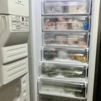 فروش یخچال دوقلو الکترو استیل|یخچال و فریزر|یزد, |دیوار