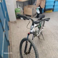 دوچرخه ۲۶ viva|دوچرخه، اسکیت، اسکوتر|لاران, |دیوار