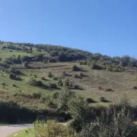 فرصت طلایی برای خرید زمین کشاورزی