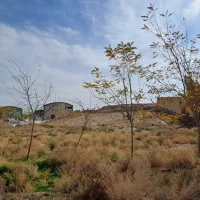 زمین صنعتی|فروش دفتر صنعتی، کشاورزی، تجاری|رضویه, |دیوار