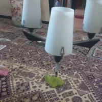 لوستر نو