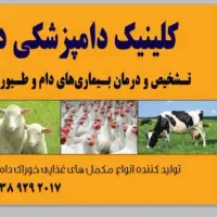 فروش جوجه یک روزه گوشتی، محلی و دورگه