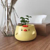 گلدان فانتزی جوجه