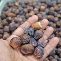 خرما برحی|خوردنی و آشامیدنی|اهواز, بهارستان|دیوار