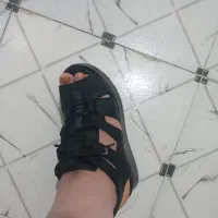 کفش|کیف، کفش، کمربند|دزفول, |دیوار