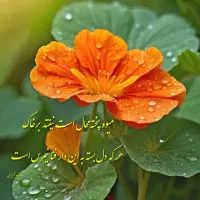 استخدام پرستار خانم برای سالمند خانوم و آقا