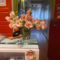 استخدام مدرس زبان انگلیسی کودکان برتر (خانم)