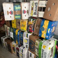 کارتون موز کیفیت خوب