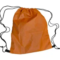 ساک ورزشی شوزبگ