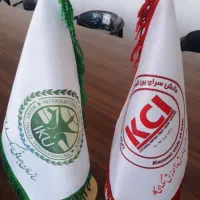 مربی خانم با مدرک معتبر تربیت و آموزش حرفه‌ای سگ