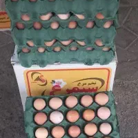 تخم مرغ محلی گلپایگان|خوردنی و آشامیدنی|مشهد, حجاب (شهرک غرب)|دیوار