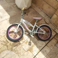 دوچرخه ۱۶ فروشی