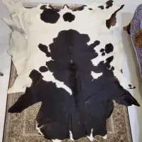 پوست گاو سیاه و سفید طرح زیبا