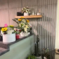 آگهی استخدام همکار آقا