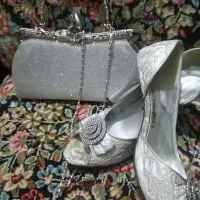 کیف وکفش مجلسی