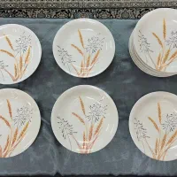 ۱۸ عدد بشقاب ملامین گل گندمین قالب امریکایی|ظروف سرو و پذیرایی|رشت, پورسینا|دیوار