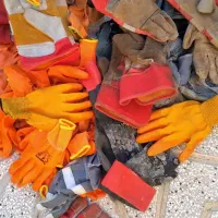 دستکش کار و زرشک چینی|لباس|بیرجند, |دیوار