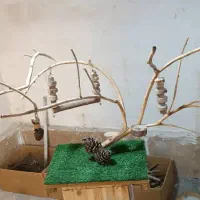 پارک بازی  درختچه  استند (پرنده . طوطی)