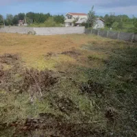 فروش زمین|فروش زمین و ملک کلنگی|رشت, لاکان|دیوار