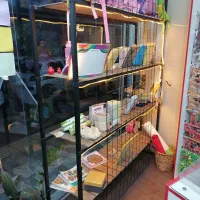 قفسه چوبی فلزی چهار طبقه