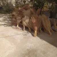 جارو