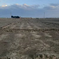 ۵۰۰مترزمین سند دار برا باغچه حسن آبادفشافویه|فروش زمین و ملک کلنگی|فشاپویه, |دیوار