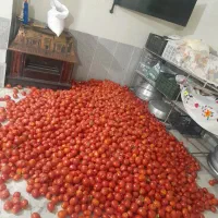 رب محلی خوش طعم وخوش رنگ امسال
