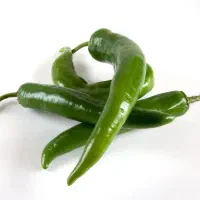 فلفل تند سبز