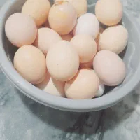 تخم مرغ|خوردنی و آشامیدنی|سنگدوین, |دیوار