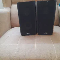 باند دوقلوی کامپیوتر