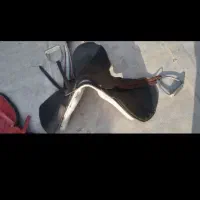 زین اسب|اسب و تجهیزات اسب‌سواری|بجنورد, |دیوار