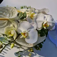 تشریفات ، عروسی ، ترحیم ، باغ تالار