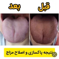 با گیاهان زنده شوید